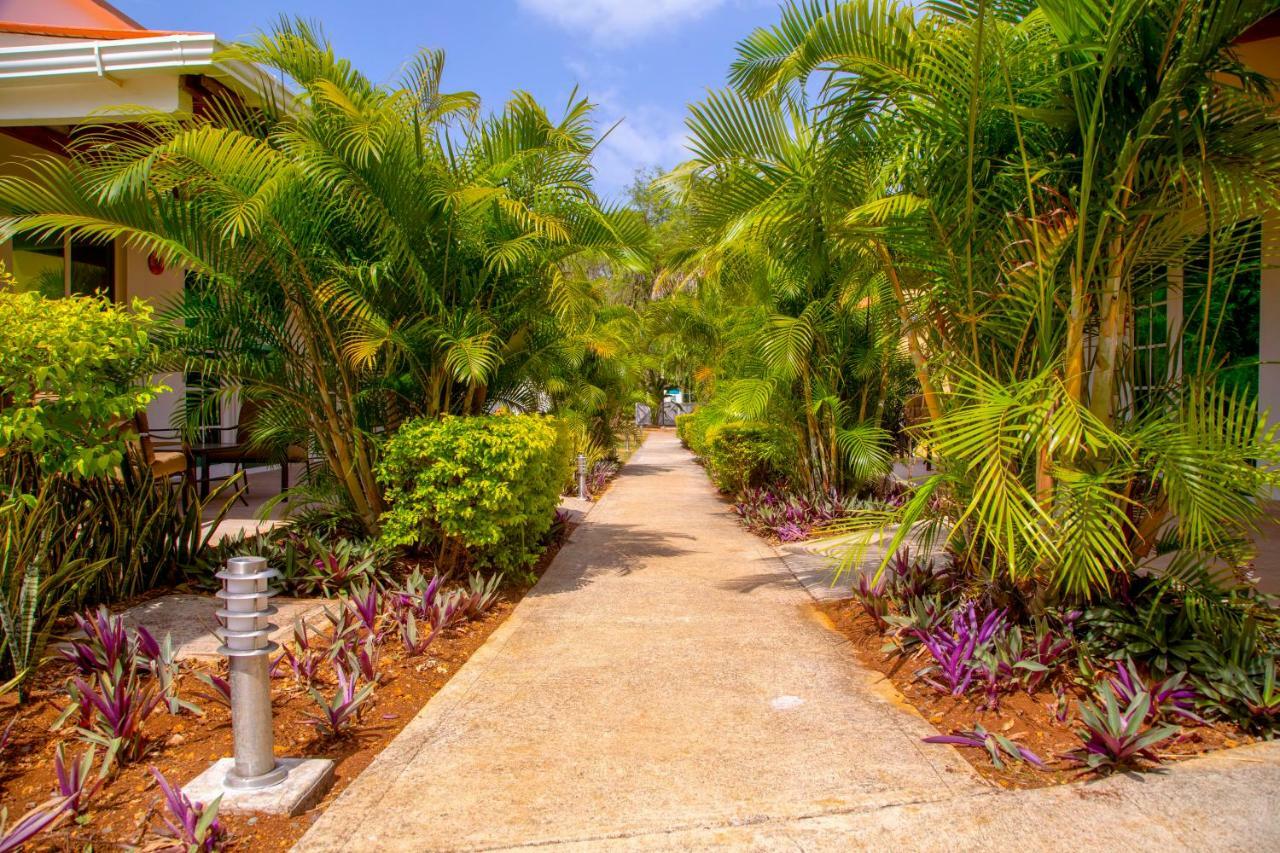 Solare Sai Ecohotel (Adults Only) San Andrés Eksteriør billede